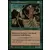 Archers de Norbois