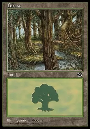 Portal - 2nd age - Forêt