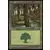 Forêt