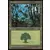 Forêt