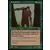 Portal - 2nd age - Yeti sylvestre