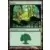 Ravnica : la cité des guildes - Forêt