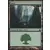 Forêt Foil