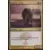 Ravnica : la cité des guildes - Loup de garde Foil