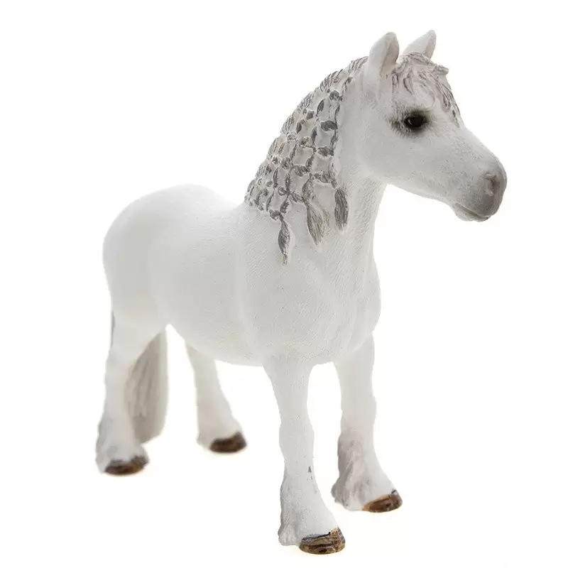 Horse Club - Poney fell male