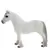 Horse Club - Poney fell male