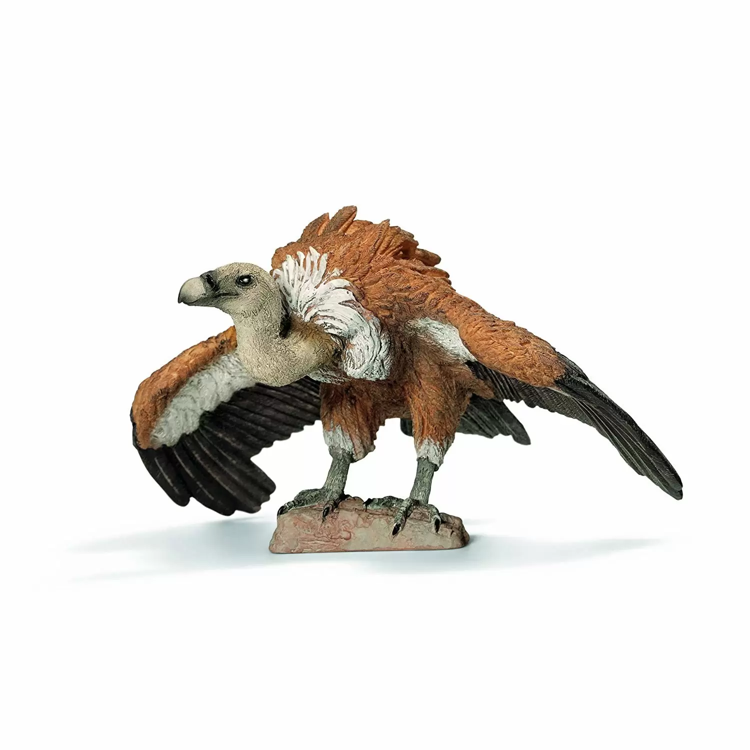 Wild Life - Vautour fauve