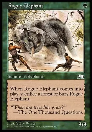 Aquilon - Éléphant solitaire