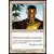 Paladin du Sud