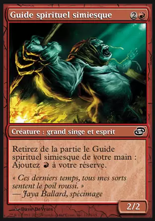Chaos Planaire - Guide spirituel simiesque