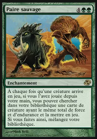 Chaos Planaire - Paire sauvage