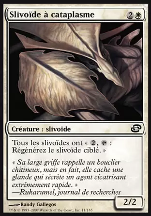 Chaos Planaire - Slivoïde à cataplasme