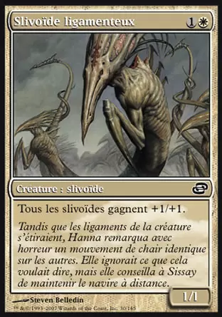Chaos Planaire - Slivoïde ligamenteux