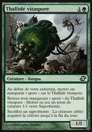 Chaos Planaire - Thallidé vitaspore
