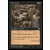 Forteresse - Tourment