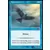 Corbeau de l'orage
