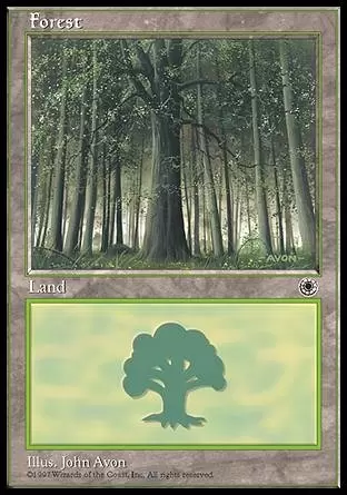 Portal - Forêt