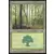 Forêt