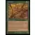 Saga d\'Urza - Acridien
