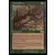 Saga d\'Urza - Cerf caché