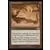 Codex de Barrin