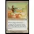 Saga d\'Urza - Déblayage