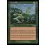 Saga d\'Urza - Don de Gaia