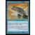 Saga d\'Urza - Grande baleine