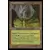 Saga d\'Urza - Karst glissant