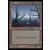 Saga d\'Urza - Marais