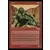 Saga d\'Urza - Okk