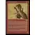 Saga d\'Urza - Raptor shivân