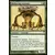 Ancien protecteur