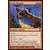 Dragon pardique