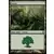 Forêt