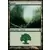 Forêt