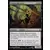 Gorgone recluse