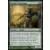 Thallidé germinateur