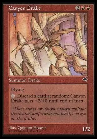 Tempête - Drakôn des canyons