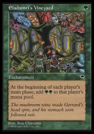 Tempête - Vignoble d\'Éladämri