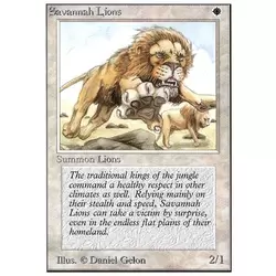 Lions des savanes
