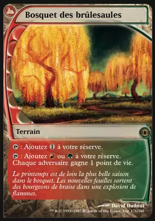 Vision de l\'Avenir (Future Sight) - Bosquet des brûlesaules