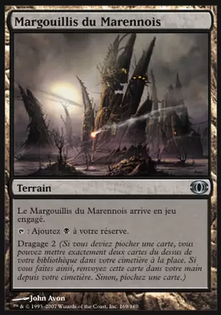 Vision de l\'Avenir (Future Sight) - Margouillis du Marennois