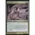 Slivoïde ectoflamme Foil