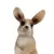 Farm World - Lapin debout