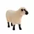Farm World - Mouton Shropshire
