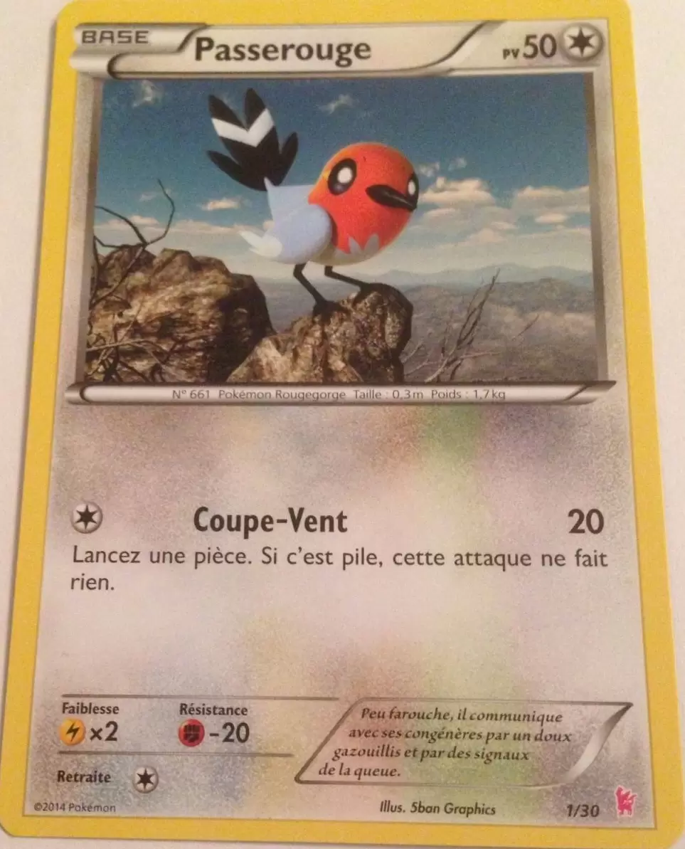 XY Trainer Kit (Scalproie) - Passerouge