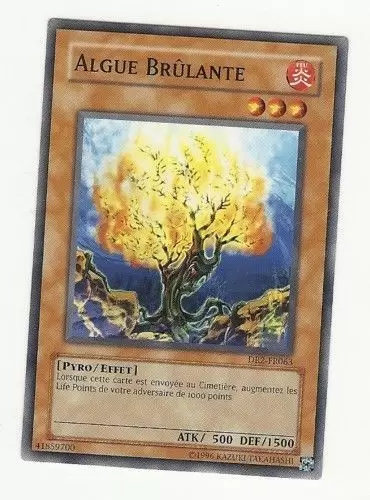 Sombre Révélation Volume 2 DR2 - Algue Brûlante