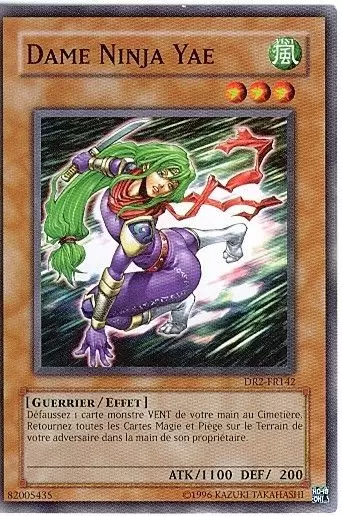 Sombre Révélation Volume 2 DR2 - Dame Ninja Yae