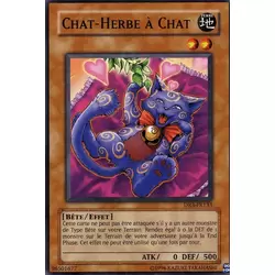 Chat-Herbe à Chat